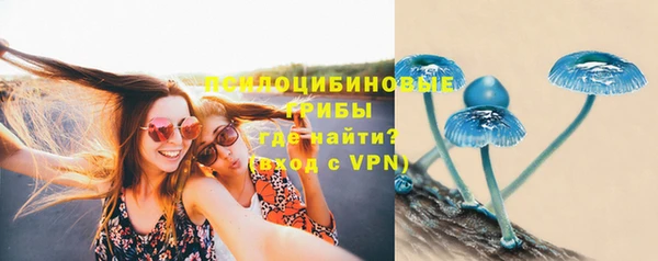 ПСИЛОЦИБИНОВЫЕ ГРИБЫ Абаза