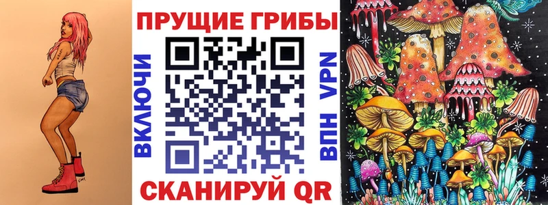 Галлюциногенные грибы Psilocybine cubensis  Александров 